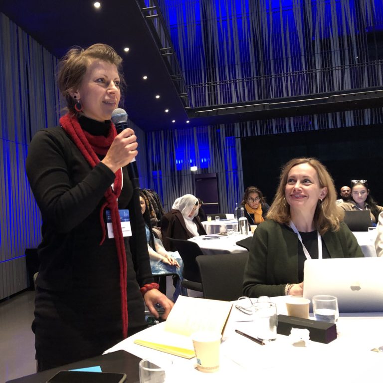 Petra Granholm, forskningskoordinator vid Ålands fredsinstitut, deltog i Imagine Forum på Island 2023